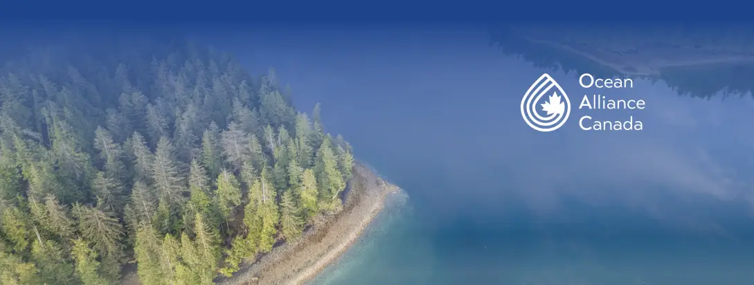 Ocean Governance (Canada) Micro-Credential