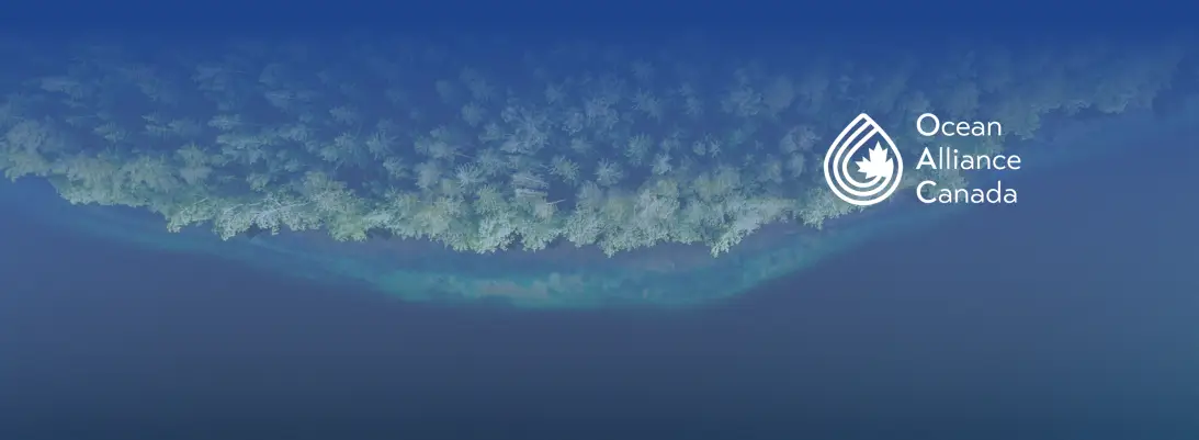 Ocean Governance (International) Micro-Credential