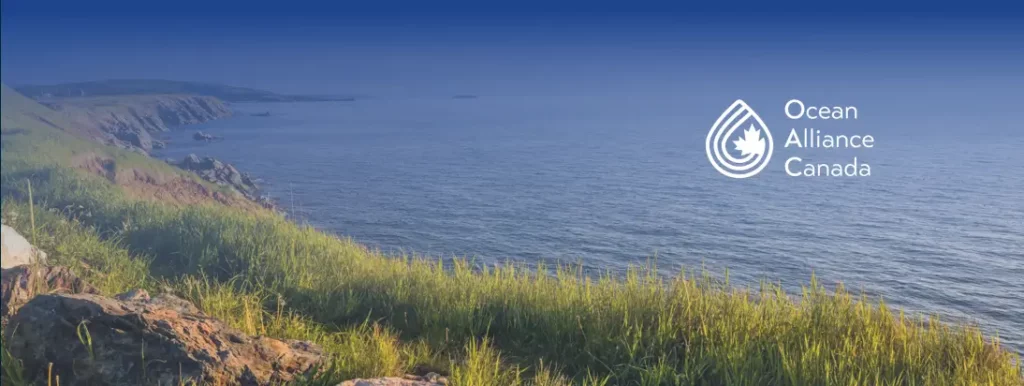 Ocean Industry and Indigenous Stewardship Micro-Credential